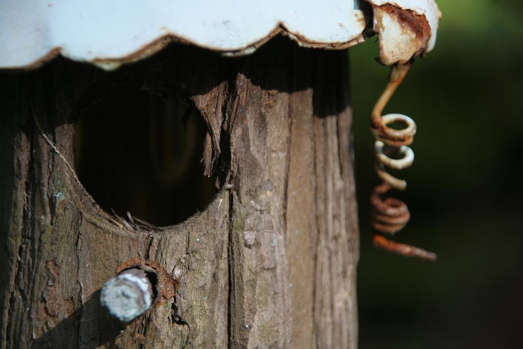 Gite Nature Et Confiture Esterel Exterior photo